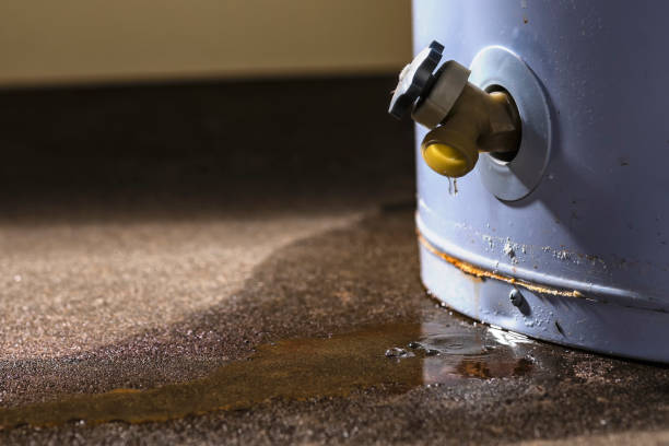 Best Mold removal after water damage  in Star City, WV