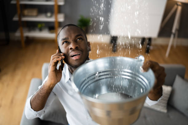 Best Sewage cleanup and water damage restoration  in Star City, WV