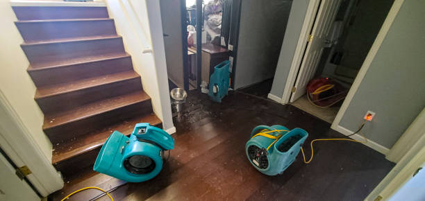 Best 24/7 water damage repair  in Star City, WV