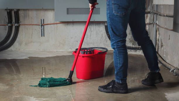 Best Water damage restoration near me  in Star City, WV