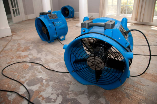 Best Water damage restoration near me  in Star City, WV