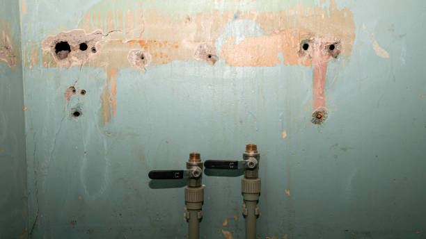 Best Emergency water damage restoration  in Star City, WV
